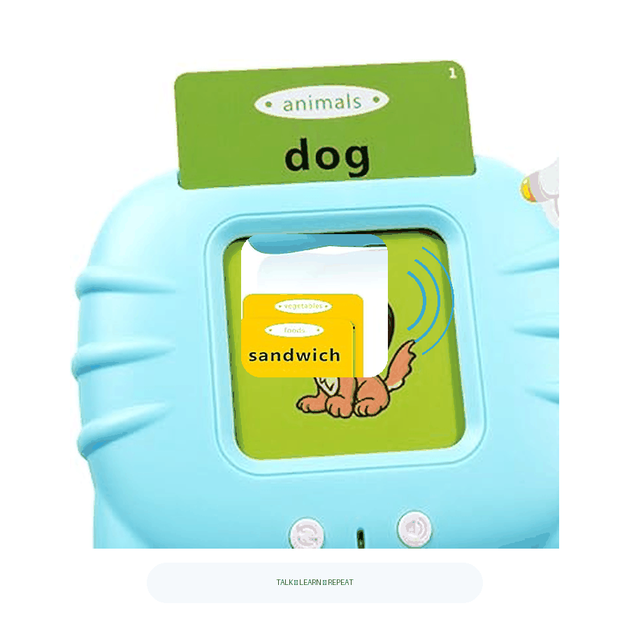 Kiddies Talking Flash Cards
